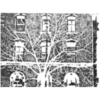 04_dub06_q_300x155
