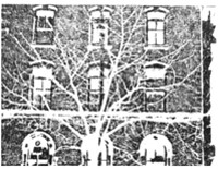 04_dub06_q_300x155