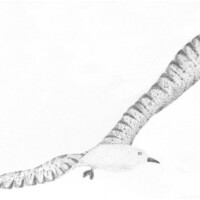01_F5_V1_900_400