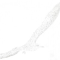 04_F5_V1_900_400