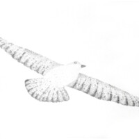05_F5_V2_01_900