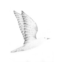 14_F5_V3_01_900