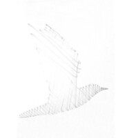 16_F5_V3_03_900