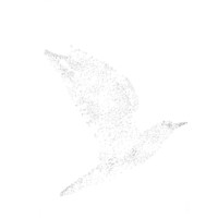 17_F5_V3_03_900