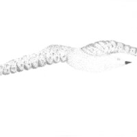 20_F5_V4_01_900