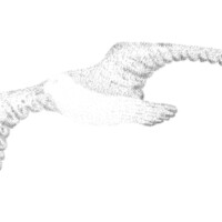 29_F5_V5_01_900