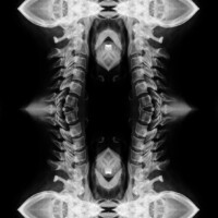 Wrde_72_03